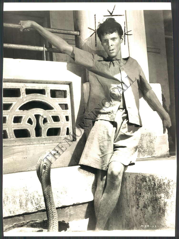 Jay North Actor | eBay