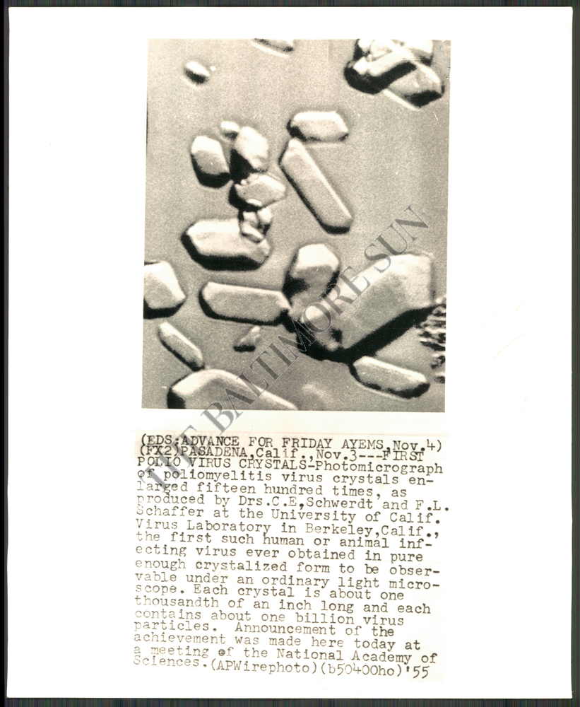 BS PHOTO bgx-103 Infantile Paralysis - Polio
