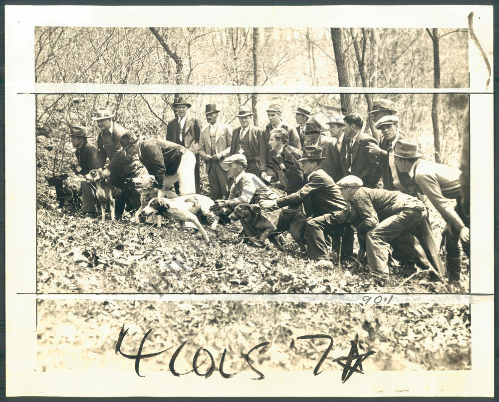 BS PHOTO bam110 Maryland Field Trials Coon Dogs 1936 eBay