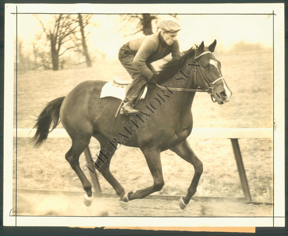 Roman Race Horse 1940