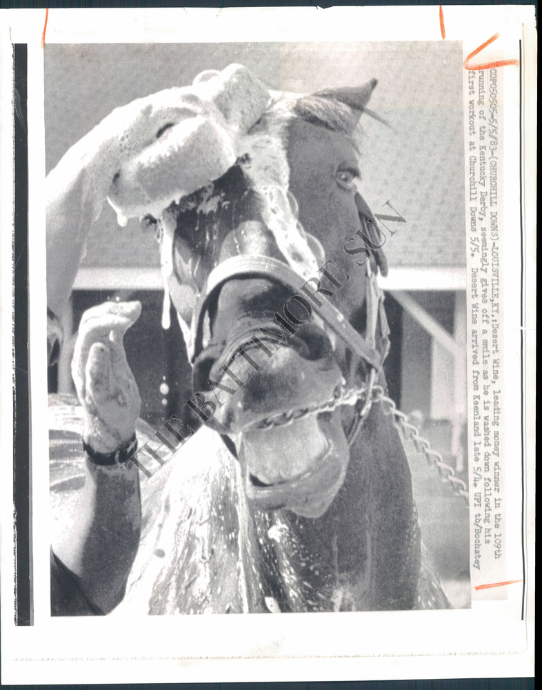 BS Photo AEO-259 Race Horse Desert Wine Churchill Downs
